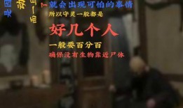 守灵夜在线观看,揭秘神秘古墓的惊悚之旅